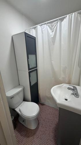 Studio for rent in Montreal - Le Plateau-Mont-Royal — photo 6