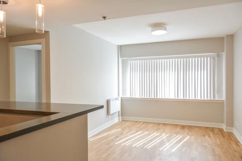 Appartement de 1 chambre à louer à Montreal - Le Plateau-Mont-Royal — photo 4