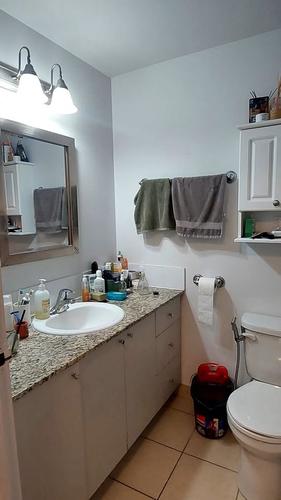 1 bedroom apartment for rent in Montreal - Le Plateau-Mont-Royal — photo 8