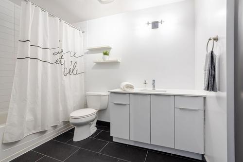 2 bedrooms apartment for rent in Montreal - Le Plateau-Mont-Royal — photo 8