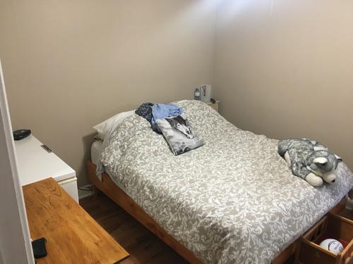 1 bedroom apartment for rent in Lévis — photo 13