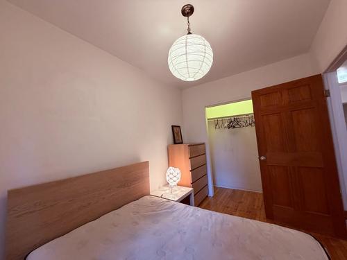 1 bedroom apartment for rent in Montreal - Le Plateau-Mont-Royal — photo 5