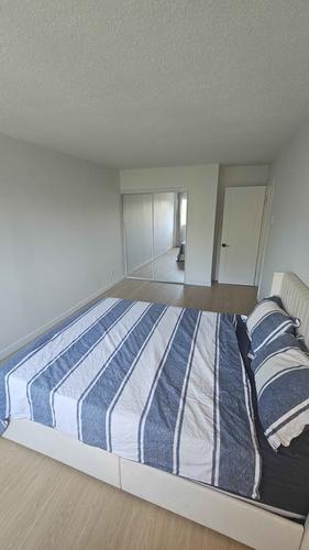 Appartement de 1 chambre à louer à Longueuil — photo 3