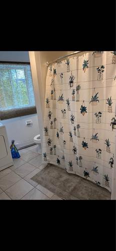 1 bedroom apartment for rent in Lévis — photo 5