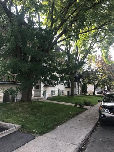 Appartement de 2 chambres à louer à Longueuil — photo 6
