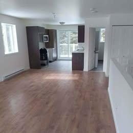 Appartement de 2 chambres à louer à Québec - La Cité-Limoilou — photo 2