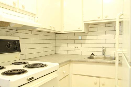1 bedroom apartment for rent in Montreal - Le Plateau-Mont-Royal — photo 4