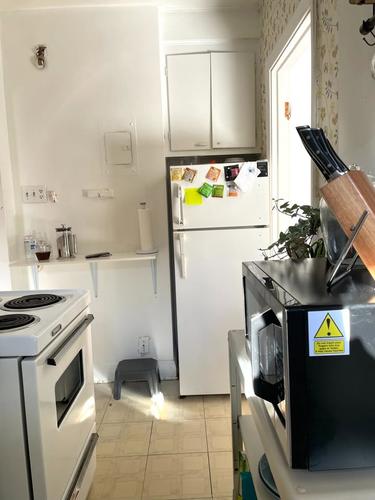 1 bedroom apartment for rent in Montreal - Le Plateau-Mont-Royal — photo 5