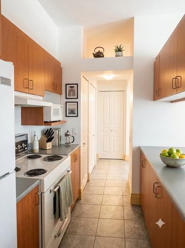Appartement de 2 chambres à louer à Montreal - Le Plateau-Mont-Royal — photo 6
