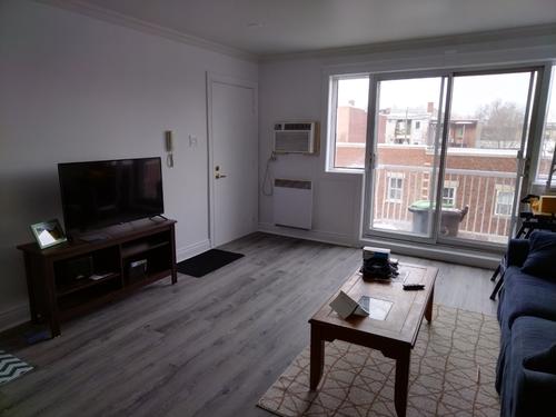 1 bedroom apartment for rent in Montreal - Ville-Marie — photo 3