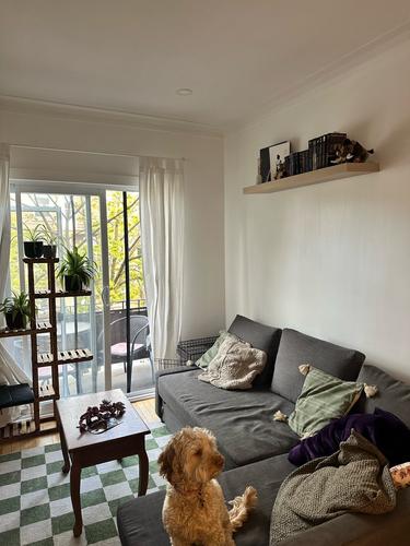 2 bedrooms apartment for rent in Montreal - Rosemont–La Petite-Patrie — photo 2