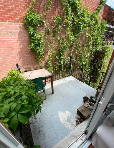 Appartement de 2 chambres à louer à Montreal - Le Plateau-Mont-Royal — photo 6