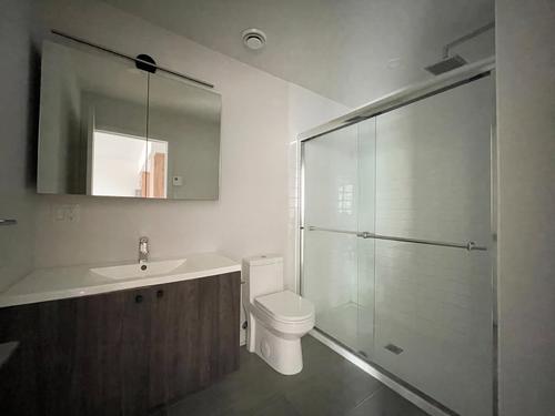 Appartement de 1 chambre à louer à Montreal - Le Plateau-Mont-Royal — photo 3
