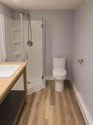 Appartement de 1 chambre à louer à Montreal - Rosemont–La Petite-Patrie — photo 8