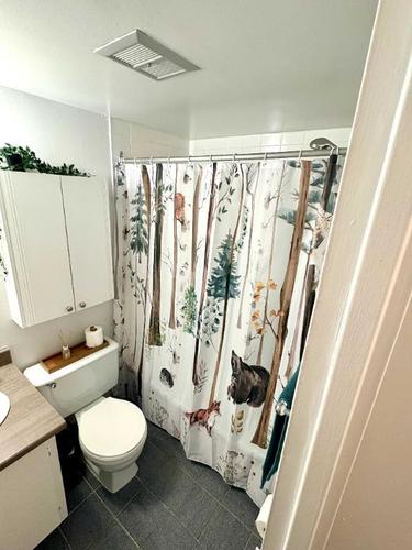1 bedroom apartment for rent in Gatineau — photo 6