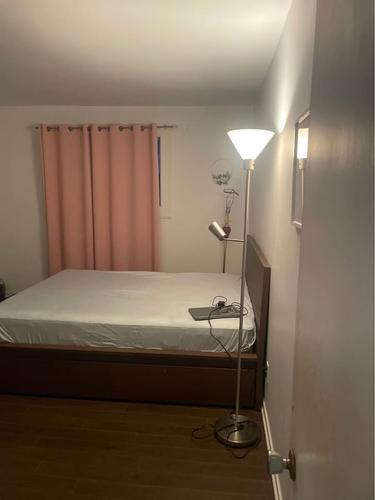 Appartement de 1 chambre à louer à Québec - La Cité-Limoilou — photo 5