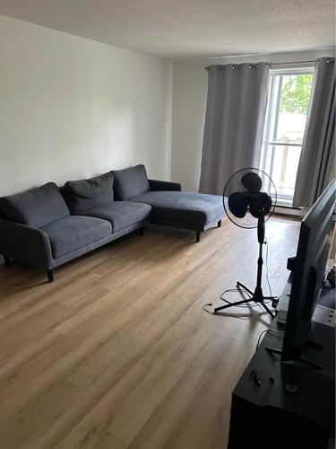 2 bedrooms apartment for rent in Gatineau — photo 2