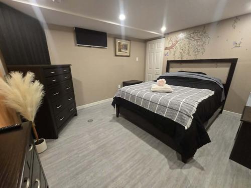 1 bedroom apartment for rent in Gatineau — photo 6