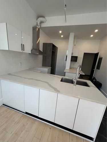 2 bedrooms apartment for rent in Montreal - Le Plateau-Mont-Royal — photo 3