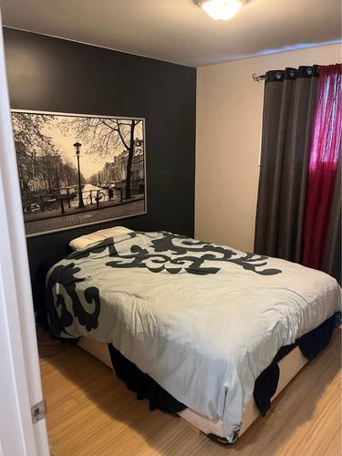 1 bedroom apartment for rent in Lévis — photo 4