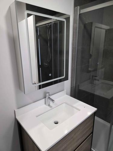 1 bedroom apartment for rent in Montreal - Rivière-des-Prairies–Pointe-aux-Trembles — photo 28
