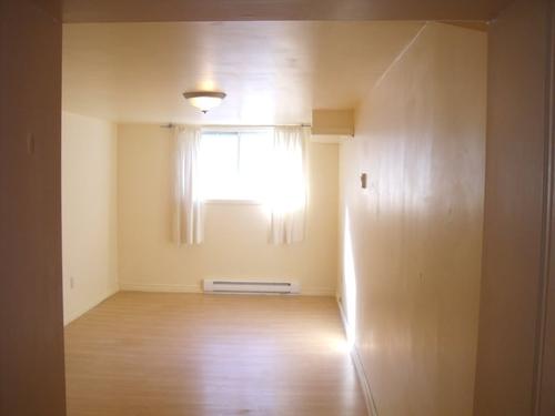 Appartement de 1 chambre à louer à Montreal - Le Plateau-Mont-Royal — photo 5