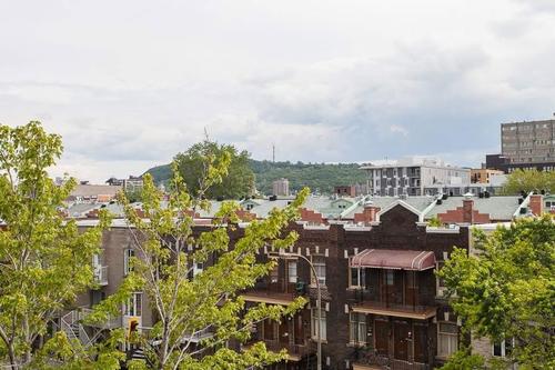 1 bedroom apartment for rent in Montreal - Le Plateau-Mont-Royal — photo 18