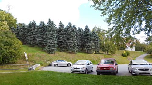 2 bedrooms apartment for rent in Sherbrooke — photo 29