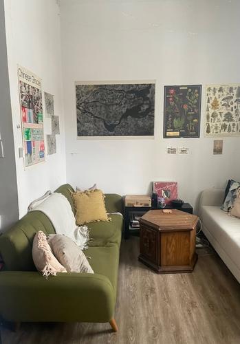 Appartement de 2 chambres à louer à Montreal - Le Plateau-Mont-Royal — photo 8