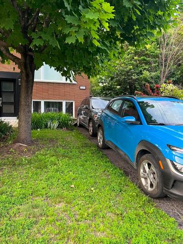 1 bedroom apartment for rent in Longueuil — photo 10