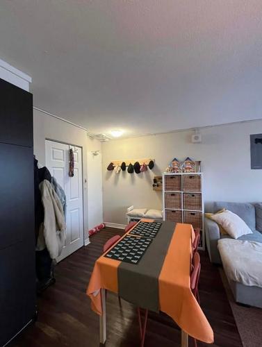 1 bedroom apartment for rent in Montreal - Le Plateau-Mont-Royal — photo 5