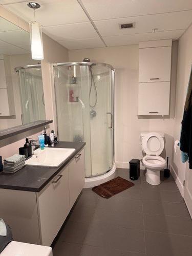 2 bedrooms apartment for rent in Québec - Sainte-Foy–Sillery–Cap-Rouge — photo 11
