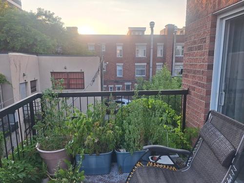 Appartement de 2 chambres à louer à Montreal - Le Plateau-Mont-Royal — photo 2