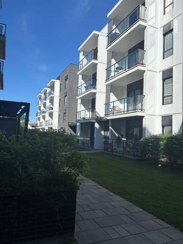 Appartement de 2 chambres à louer à Québec - La Cité-Limoilou — photo 4