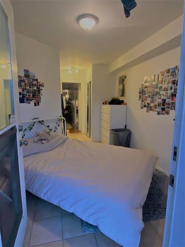 Appartement de 2 chambres à louer à Montreal - Le Plateau-Mont-Royal — photo 5