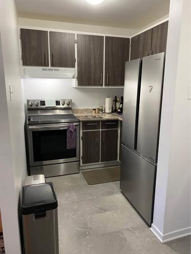 1 bedroom apartment for rent in Lévis — photo 6