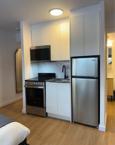 Appartement de 1 chambre à louer à Montreal - Le Plateau-Mont-Royal — photo 4