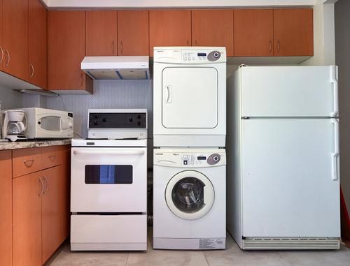 1 bedroom apartment for rent in Montreal - Rosemont–La Petite-Patrie — photo 4