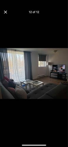 Appartement de 2 chambres à louer à Gatineau — photo 5
