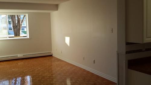 Appartement de 1 chambre à louer à Gatineau — photo 4