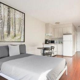 1 bedroom apartment for rent in Montreal - Rosemont–La Petite-Patrie — photo 10