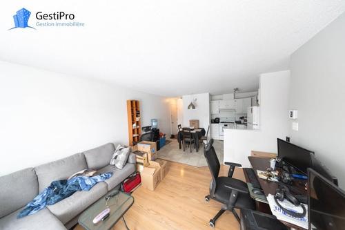 Appartement de 2 chambres à louer à Lévis — photo 3