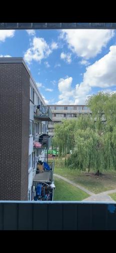 Appartement de 1 chambre à louer à Montreal - Saint-Laurent — photo 5