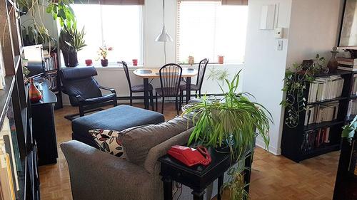 1 bedroom apartment for rent in Montreal - Rosemont–La Petite-Patrie — photo 7