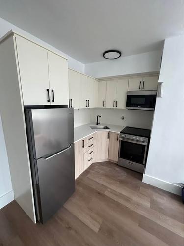 1 bedroom apartment for rent in Montreal - Le Plateau-Mont-Royal — photo 9