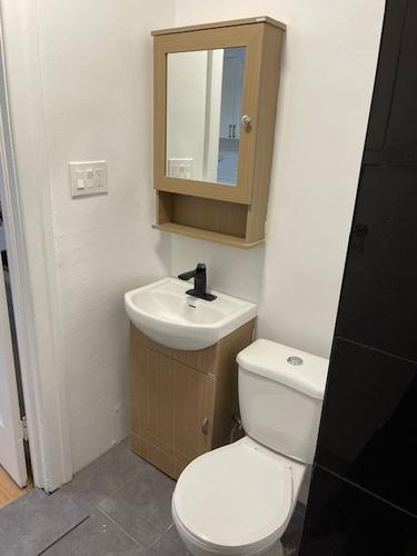 1 bedroom apartment for rent in Montreal - Le Plateau-Mont-Royal — photo 12