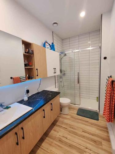1 bedroom apartment for rent in Québec - La Cité-Limoilou — photo 5