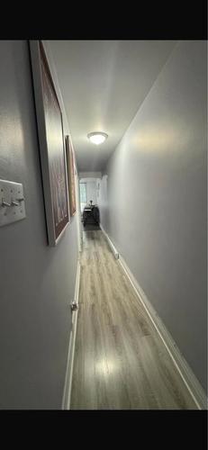Appartement de 2 chambres à louer à Montreal - Rosemont–La Petite-Patrie — photo 3