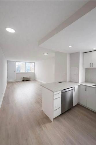 Appartement de 1 chambre à louer à Montreal - Saint-Laurent — photo 3