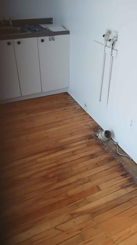 1 bedroom apartment for rent in Montreal - Rosemont–La Petite-Patrie — photo 4